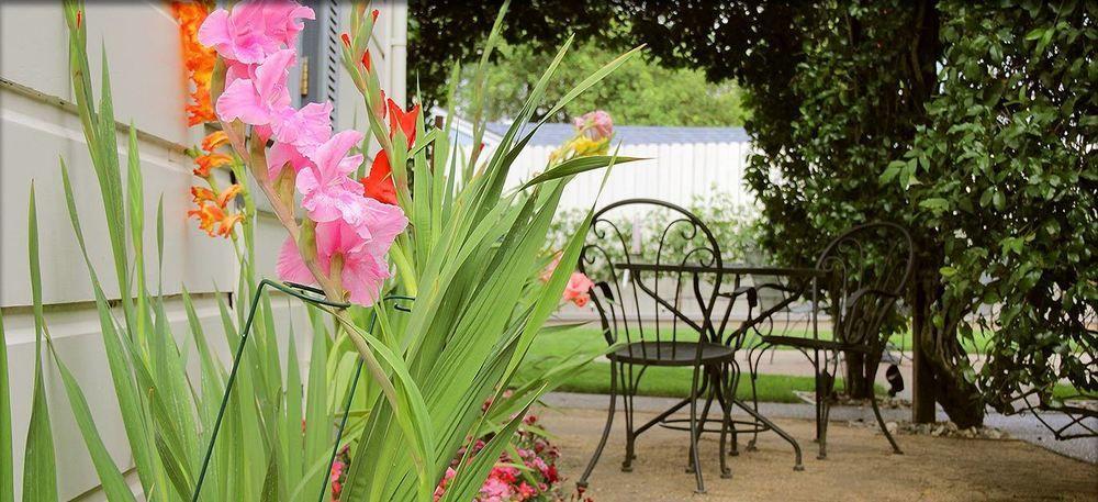 Arbor Guest House Napa Bagian luar foto